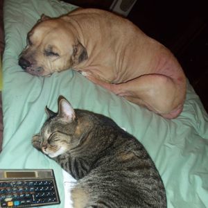 Meet your Posher, Ellen